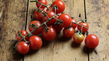 כיצד למנוע ריקבון עגבנייה? כיצד למנוע עש עגבניות? 