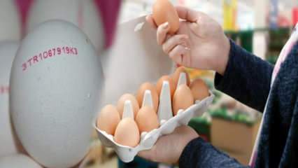 כיצד מבינים ביצה אורגנית? מה המשמעות של קודי הביצה?