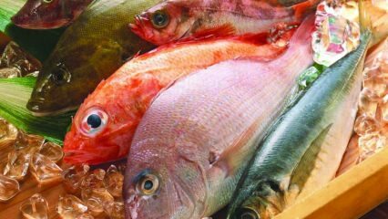השפעות של דגים על חסינות! מה היתרונות של דגים? איך צורכים את הדגים הבריאים ביותר?