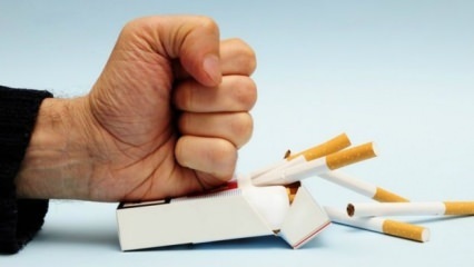 השפעות הפסקת העישון על הגוף! מה קורה בגוף כשמפסיקים לעשן?