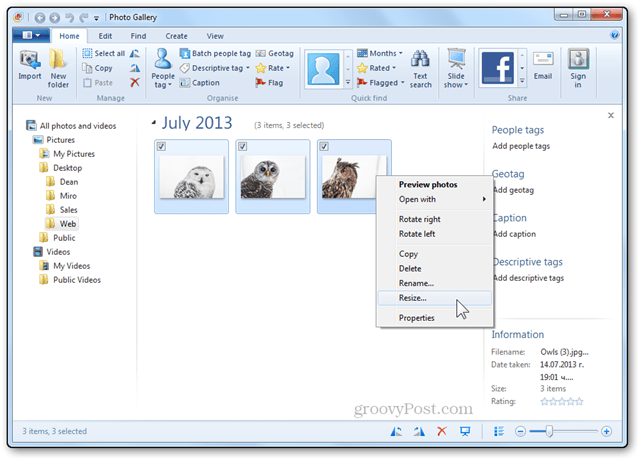 תמונות שינוי גודל ההדרכה של Windows Live גלריית התמונות שינוי גודל כפתור תפריט ההקשר