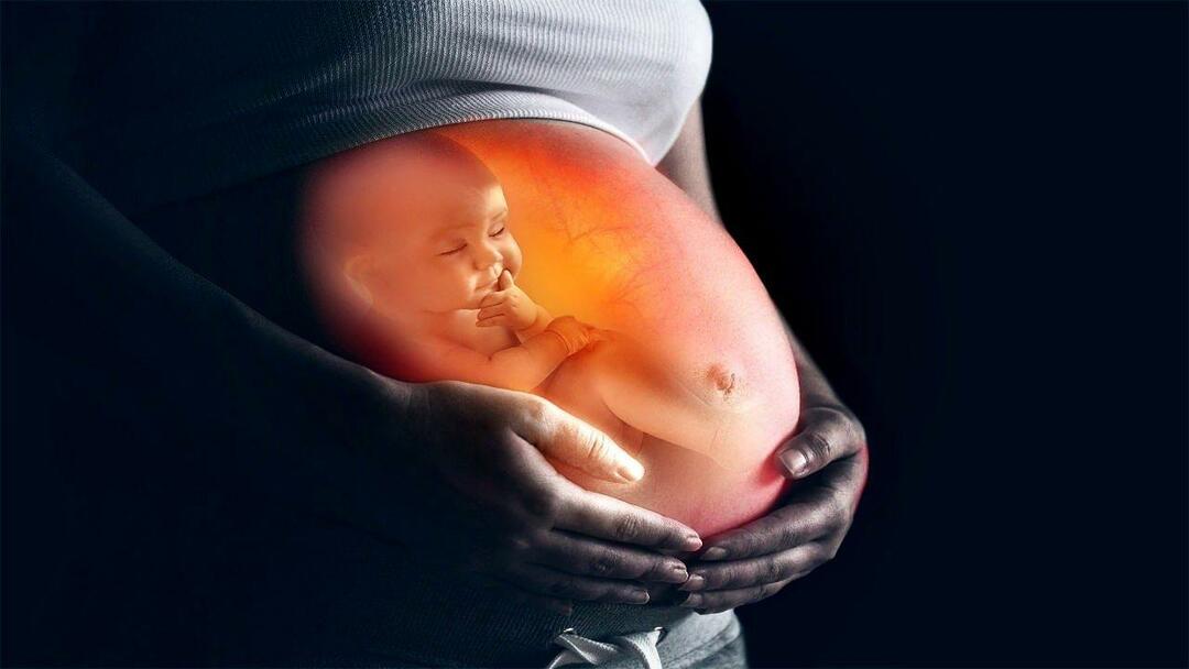 איך תינוקות מקבלים חומרים מזינים מהאם במהלך ההריון? כיצד להאכיל את התינוק ברחם מהאם