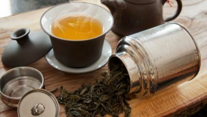 מה זה תה אולונג (תה ריחני)? מה היתרונות של תה אולונג?