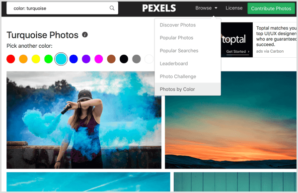 Pexels ממיין תמונות לפי צבע