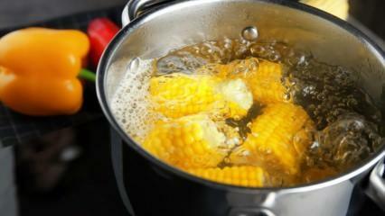 איך להכין את התירס המבושל הכי קל? שיטות מיון תירס מבושל
