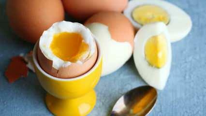 מהן ההשפעות של אכילת 2 ביצים בסחור כל יום על הגוף?