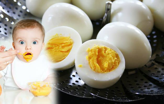 איך להאכיל חלמונים לתינוקות? מתי ניתן חלמון ביצה לתינוקות?