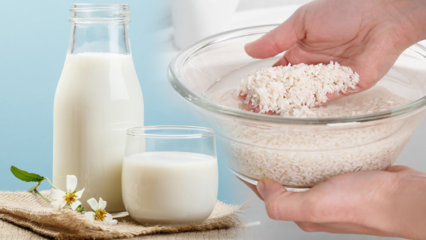 איך מכינים חלב אורז שורף שומן? שיטת הרזיה עם חלב אורז
