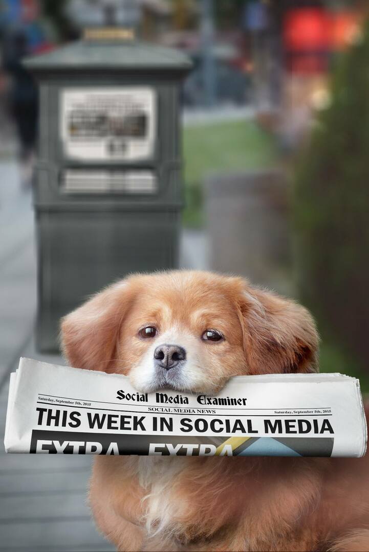 סוריקט מציג Hashtags בשידור חי: השבוע ברשתות החברתיות: בוחן מדיה חברתית