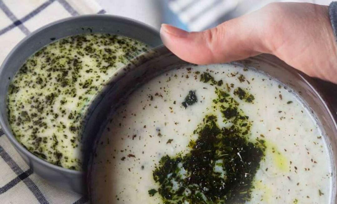 איך מכינים מרק תרד עם יוגורט? מתכון למרק תרד יוגורט שיפתיע את השכנים