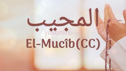 מה המשמעות של אל-מוג'יב (c.c)? מהן מעלותיו של השם אל-מוג'יב? אסמול חוסנה אל-מוג'יב...