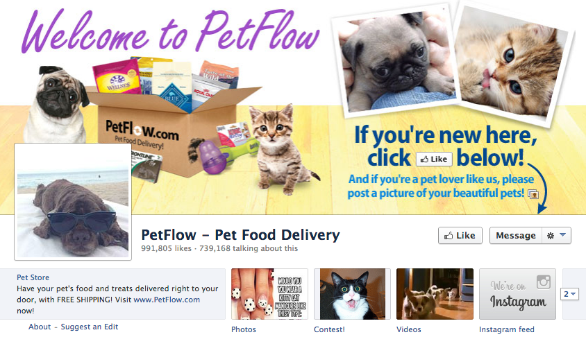 דף הפייסבוק של petflow