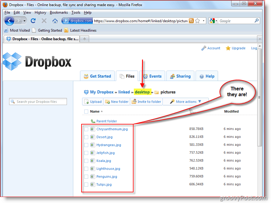 קונסולת האינטרנט של Dropbox