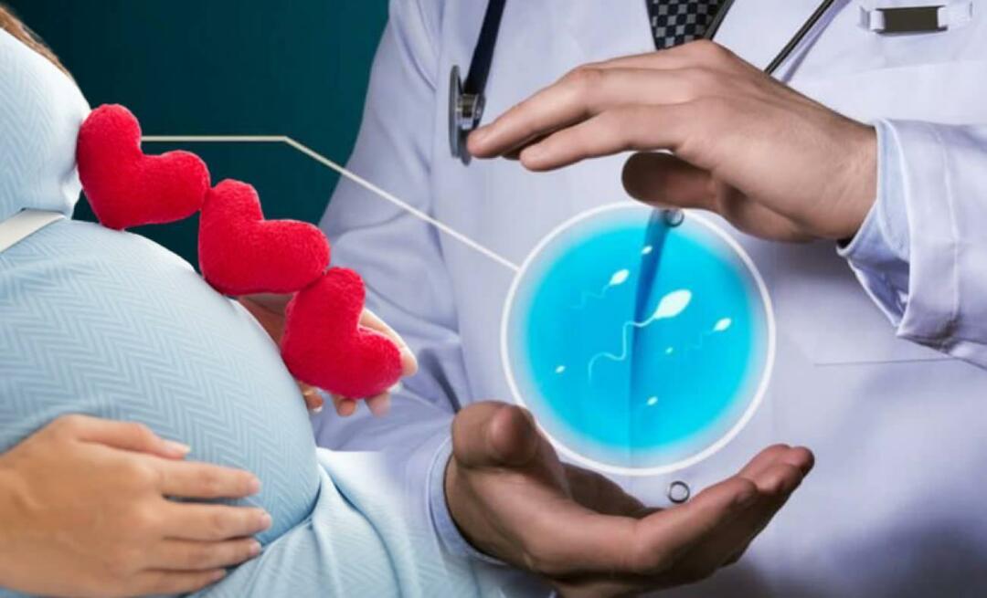 שיטה חדשה בטיפולי פוריות: טיפול בתאי גזע באי פוריות נשית!