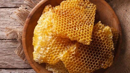 מה היתרונות של דבש? מהי הרעלת דבש מטורפת? כמה סוגים של דבש יש? 