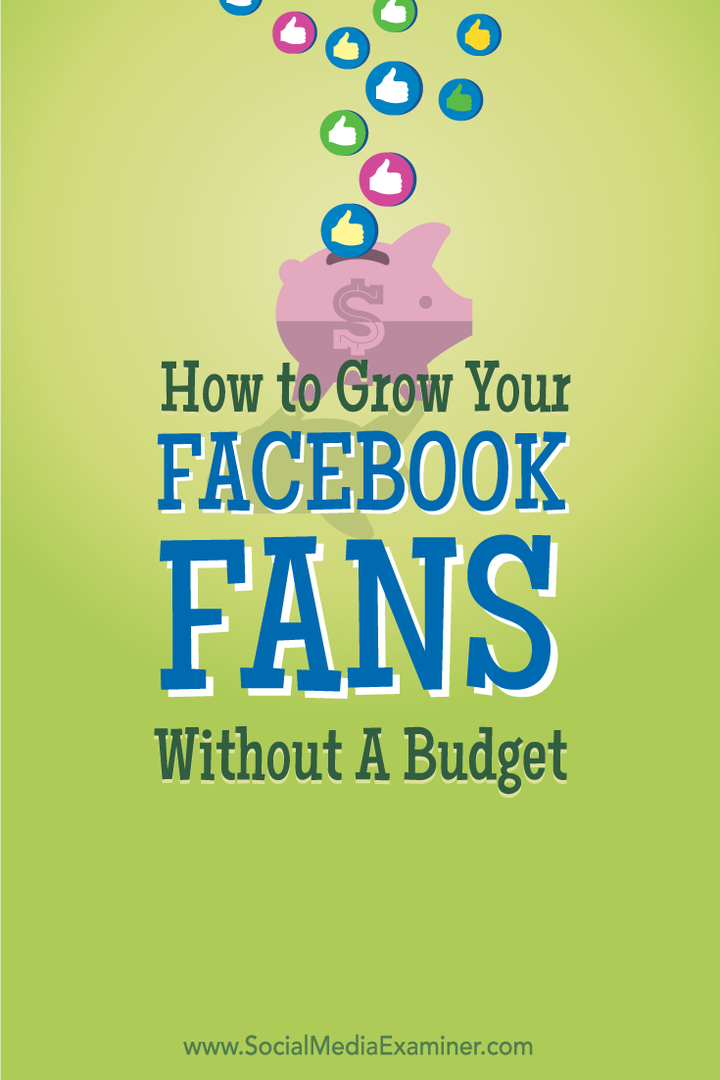 כיצד לגדל את מעריצי הפייסבוק שלך ללא תקציב: בוחן מדיה חברתית