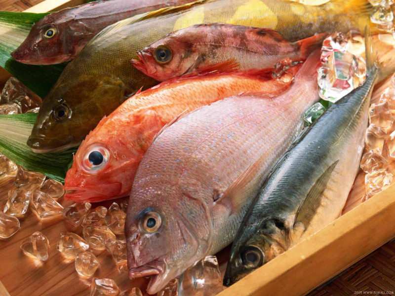 טיפים לבחירת דגים טריים מחבר השופטים מהמט שף של מאסטרשף