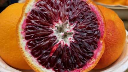עתיר נוגדי חמצון: מהם תפוזי דם? מהם היתרונות של תפוזי דם?