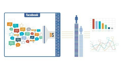 נתוני הנושא של פייסבוק