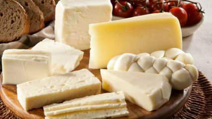 איך מאחסנים גבינה? כיצד לשמור גבינות מהמקרר