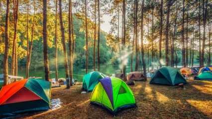 מסלולי הקמפינג הטובים ביותר לסתיו! אזורי הקמפינג היפים ביותר בהם ניתן לזרוק אוהל בסתיו