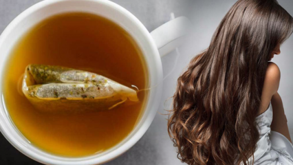 מה היתרונות של תה ירוק לשיער? מתכון מסכת עור תה ירוק