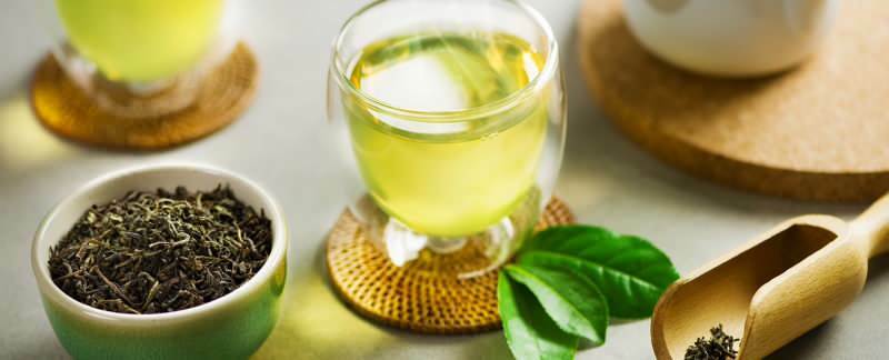 כיצד לאחסן תה ירוק? טיפים לשמירת תה ירוק