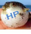 תוכנת bloatware של HP מאטה את המחשב שלך, מאפשרת לתקן אותה