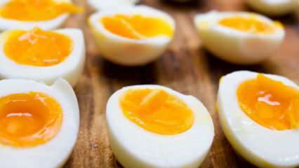כיצד יש לאחסן את הביצה המבושלת? טיפים להרתיחת ביצים אידיאלית