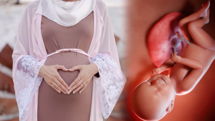 תפילות שיש לדקלם לבריאות התינוק במהלך ההיריון ו- dhikr esmaül hüsna