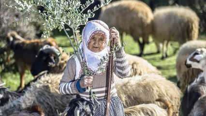 הדודה פאטמה הייתה רועה צאן למרגלות הרי אמנוס מזה חצי מאה!