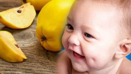 האם גומת חבושים? האם אכילת חבושים במהלך ההריון מייפה את התינוק?