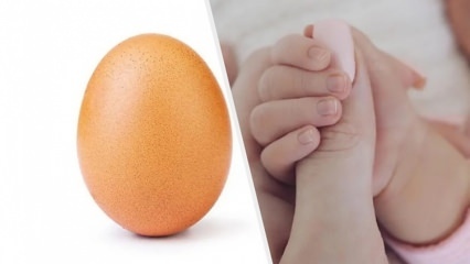 ביצה שוברת שיא עם 28 מיליון לייקים