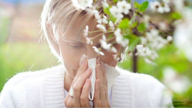 הגנת אלרגיה באביב