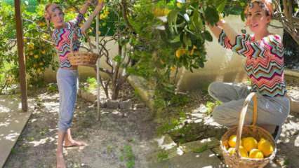 הזמרת טוגבה אוזרק קטפה לימון מהעץ בגינה שלה!