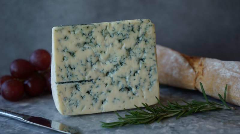 מהי גבינת רוקפור ואיך צורכים אותה? מהם אזורי השימוש בגבינת רוקפור?