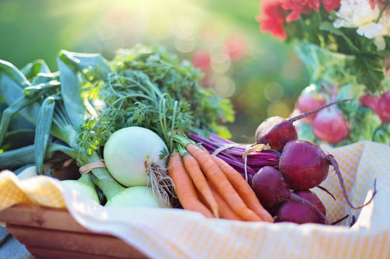 מהי התזונה הצמחית? כיצד להכין דיאטה צמחית