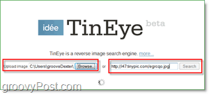 תמונת מסך של TinEye - חפש בתמונה שלך כפילויות וגרסאות גדולות יותר