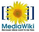 תוסף MediaWiki עבור Microsoft Word 2010 ו- 2007