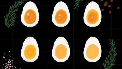 איך מבשלים את הביצה? זמני בישול ביצה! כמה דקות ביצה מבושלת רותחת?