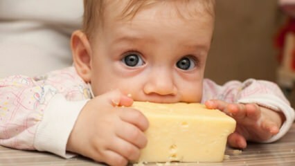 מבחר גבינות לתינוקות