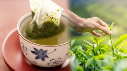 האם רעד של תה ירוק נחלש? מה ההבדל בין שקיות תה לתה מבושל? אם אתה שותה תה ירוק לפני השינה ...