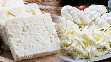 איך להבין גבינה טובה? טיפים לבחירת גבינה