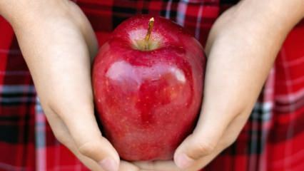 כיצד מעריכים תפוחים רקובים? 