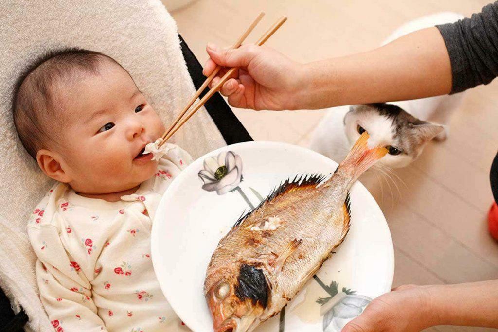 האכלת דגים לתינוק