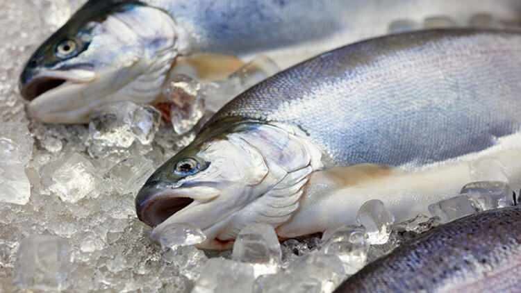 האם טעמו של הדג שנזרק למקפיא משתנה?