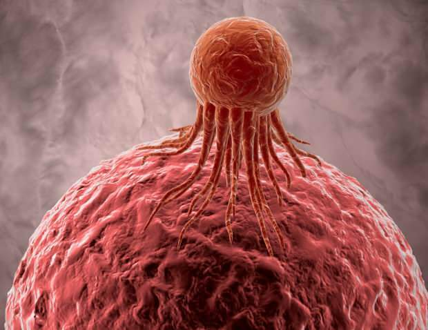 תאים סרטניים משפיעים לרעה על תאים בריאים אחרים