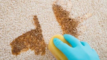 איך להכין ריסוס לניקוי שטיחים בבית?