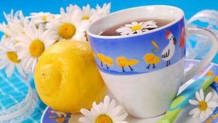 המלצה על תה צמחים מ- Saraçoğlu במהלך ההריון! האם זה מזיק לנשים בהריון לשתות תה צמחים?