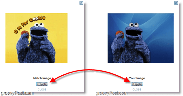 תמונת מסך של TinEye - השוואה בין תמונה מקורית ותמונת התאמה